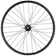 Quality Wheels Bear Pawls / Other Brother Darryl Rear Wheel - 26" Fat, 12 x 197mm, 6-Bolt, HG 11 MTN, Black