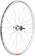 Sta-Tru Double Wall Rear Wheel - 26"x1 3/8" x 110mm Bolt-On, SS Coaster Brake, Silve