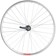 Sta-Tru Double Wall Rear Wheel - 26"x1 3/8" x 110mm Bolt-On, SS Coaster Brake, Silve