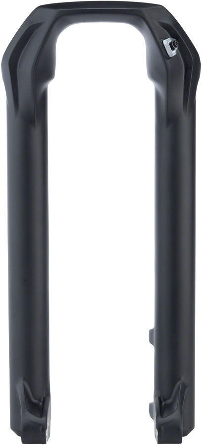 RockShox Lower Leg: BoXXer C1, 29" 20 x 110 mm Boost Spacing, Diffusion Black 