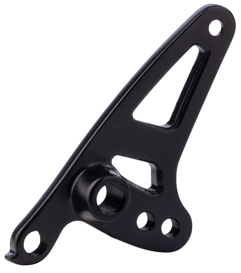 Salsa Alternator 2.0 2-Position Fixed Plate Right Driveside Thru Axle - 3801