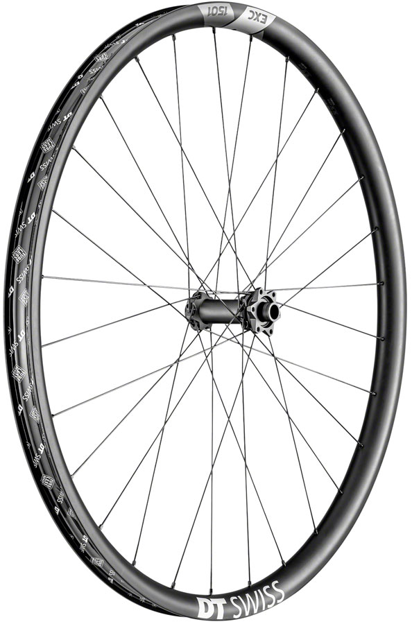 DT Swiss EXC 1501 Spline One Front Wheel - 29", 15 x 110mm Boost, 6-Bolt, Black 