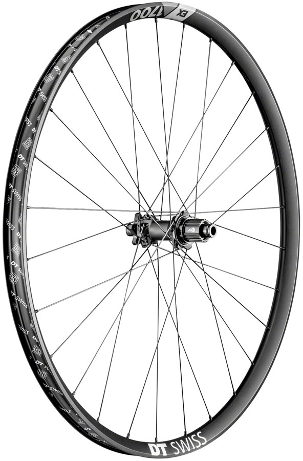 DT Swiss EX 1700 Spline Rear Wheel - 29", 12 x 148mm Boost, 6-Bolt, Micro Spline, Ratchet 36 SL, Black