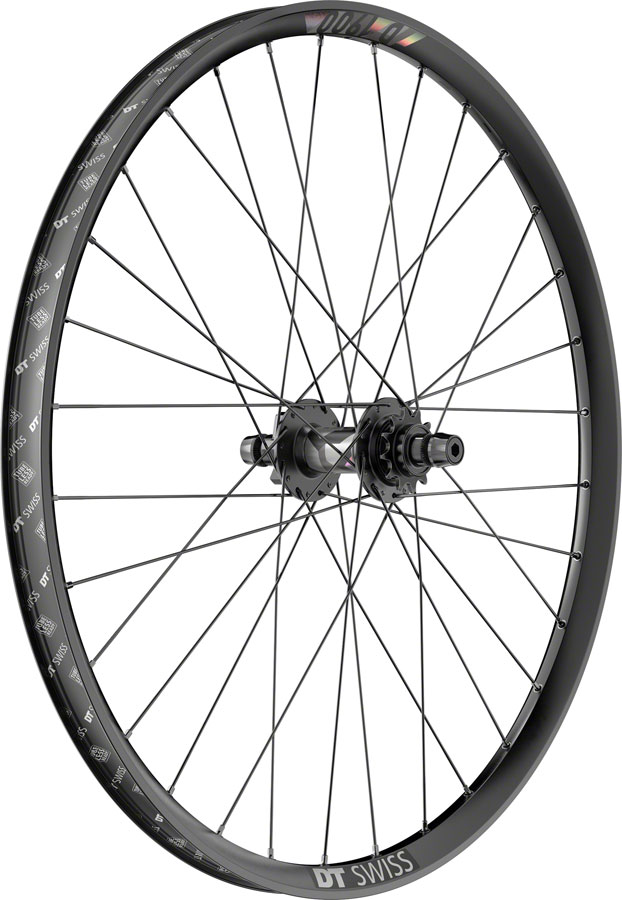 DT Swiss D 1900 Classic Rear Wheel - 26", 10 x 135mm Bolt-On, 6-Bolt, 12T Single-Speed, Ratchet LN 36, Black