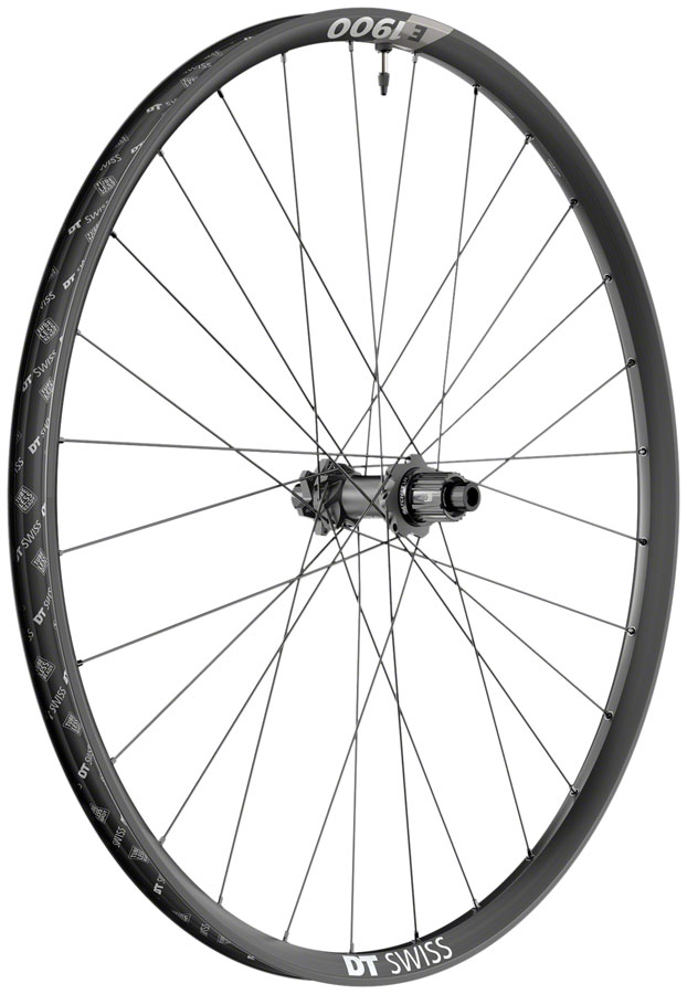 DT Swiss E 1900 Spline 30 Rear Wheel - 29", 12 x 148mm, 6-Bolt, Micro Spline, Black