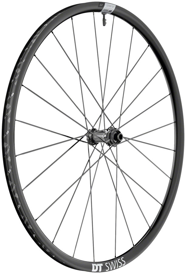 DT Swiss E 1800 Spline 23 Front Wheel - 700, 12 x 100mm, Center-Lock, Black 