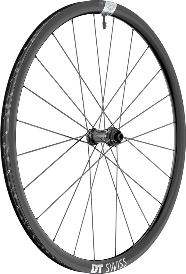 DT Swiss E 1800 Spline 30 Front Wheel - 650b, 12 x 100mm, Center-Lock, Black