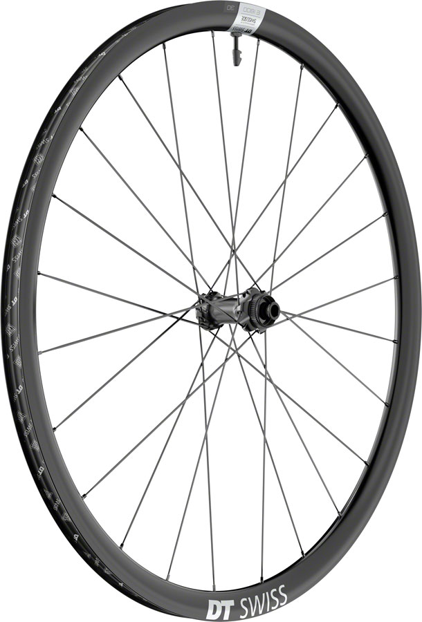 DT Swiss E 1800 Spline 30 Front Wheel - 700c, 12 x 100mm, Center-Lock, Black