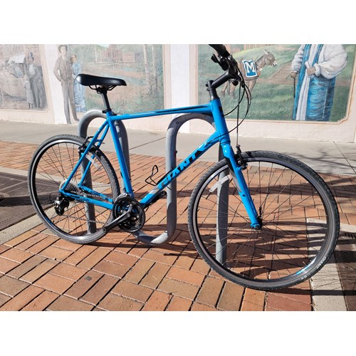 Giant Escape 2 '17 XL Blue (used)